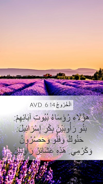 اَلْخُرُوجُ 6:14 AVD Bible Verse Image