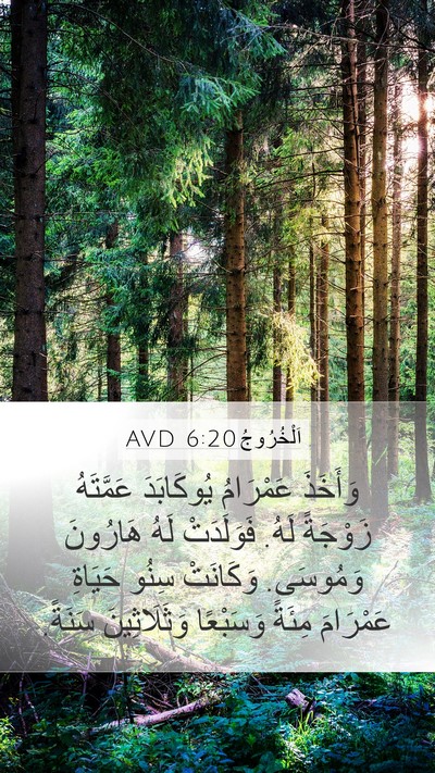 اَلْخُرُوجُ 6:20 AVD Bible Verse Image