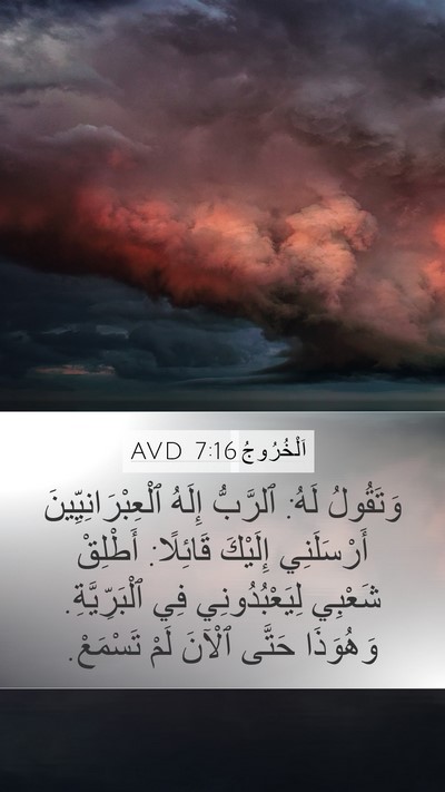 اَلْخُرُوجُ 7:16 AVD Bible Verse Image