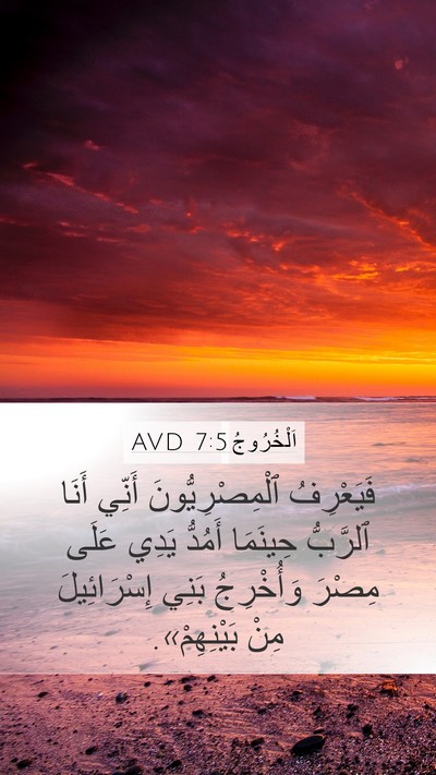 اَلْخُرُوجُ 7:5 AVD Bible Verse Image