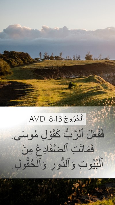 اَلْخُرُوجُ 8:13 AVD Mobile Phone Wallpaper - فَفَعَلَ ٱلرَّبُّ - Mobile Bible Verse Wallpaper