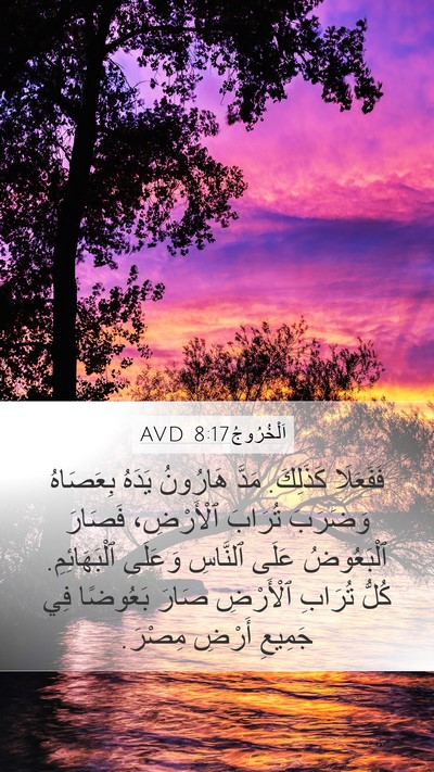 اَلْخُرُوجُ 8:17 AVD Bible Verse Image