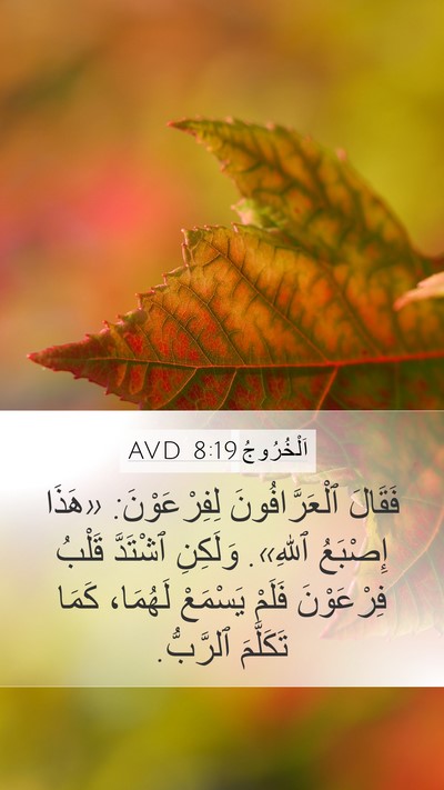 اَلْخُرُوجُ 8:19 AVD Bible Verse Image