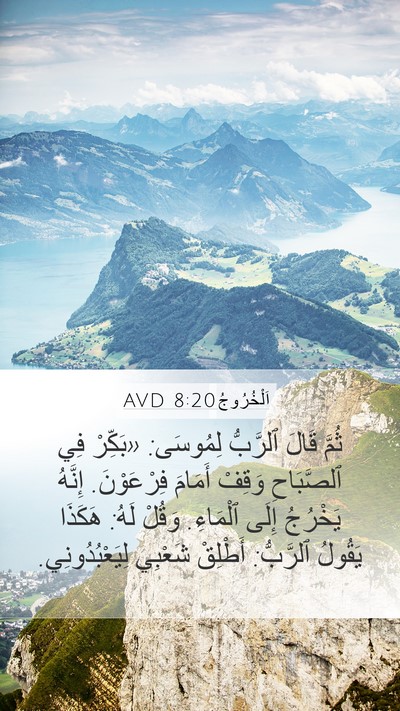 اَلْخُرُوجُ 8:20 AVD Bible Verse Image