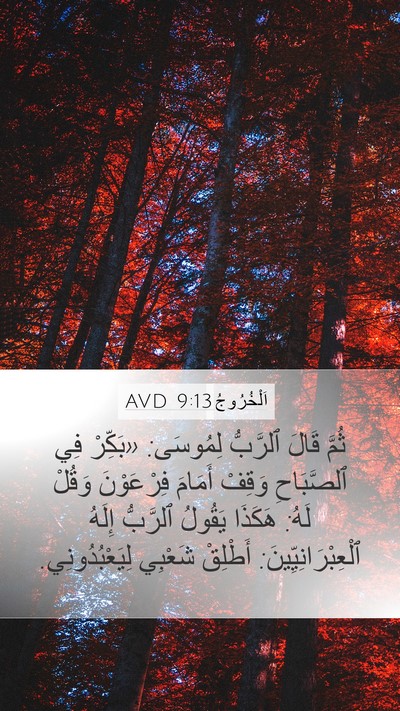 اَلْخُرُوجُ 9:13 AVD Bible Verse Image