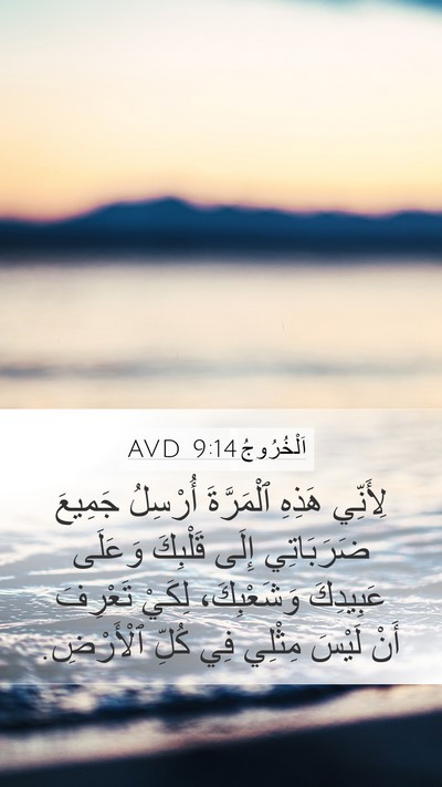 اَلْخُرُوجُ 9:14 AVD Bible Verse Image