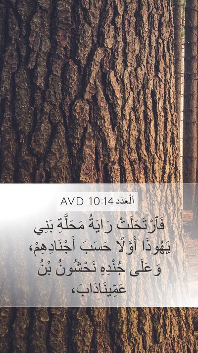 اَلْعَدَد 10:14 AVD Bible Verse Image