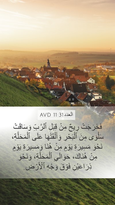 اَلْعَدَد 11:31 AVD Bible Verse Image