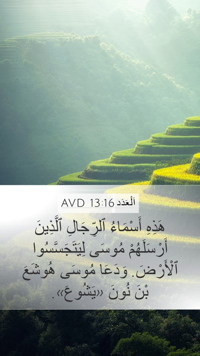 اَلْعَدَد 13:16 AVD Bible Verse Image