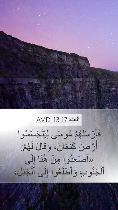 اَلْعَدَد 13:17 AVD Bible Verse Image