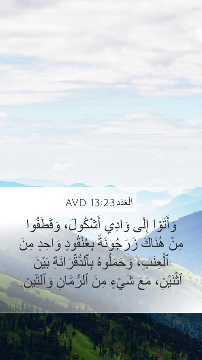 اَلْعَدَد 13:23 AVD Bible Verse Image