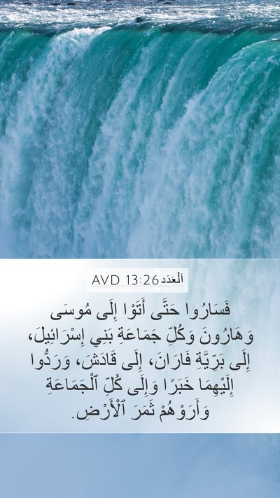 اَلْعَدَد 13:26 AVD Bible Verse Image