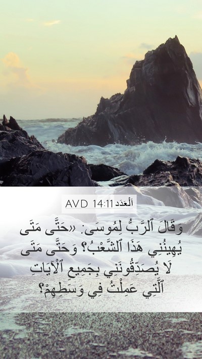 اَلْعَدَد 14:11 AVD Bible Verse Image