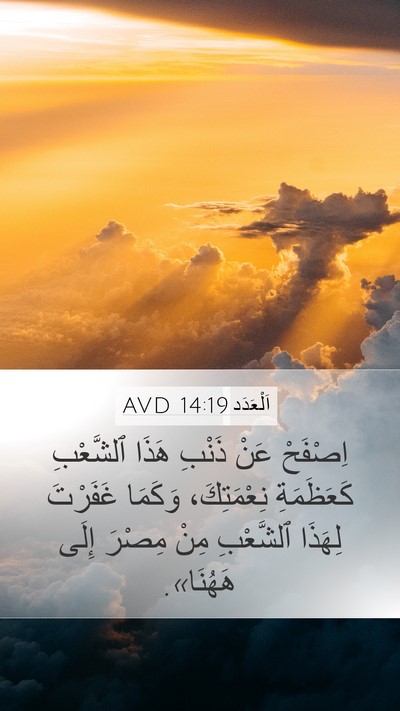 اَلْعَدَد 14:19 AVD Mobile Phone Wallpaper - اِصْفَحْ عَنْ ذَنْبِ هَذَا - Mobile Bible Verse Wallpaper