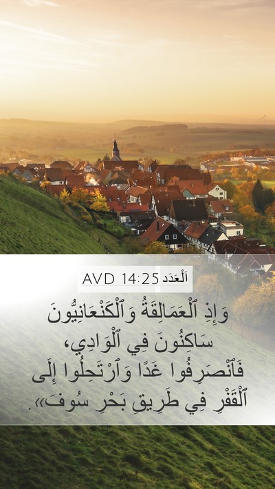 اَلْعَدَد 14:25 AVD Bible Verse Image