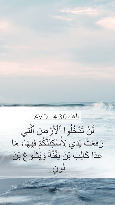 اَلْعَدَد 14:30 AVD Mobile Phone Wallpaper - لَنْ تَدْخُلُوا ٱلْأَرْضَ - Mobile Bible Verse Wallpaper