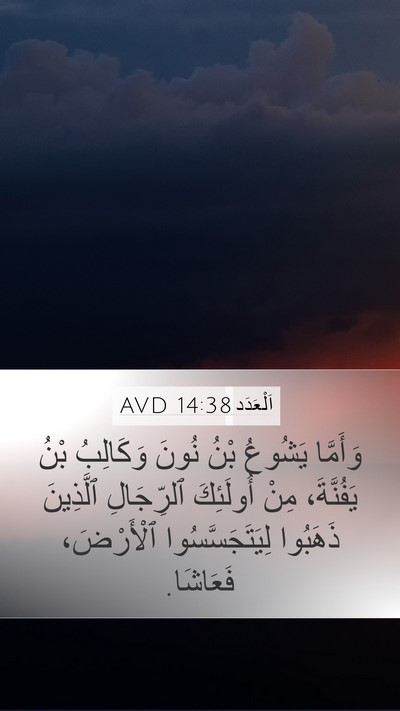 اَلْعَدَد 14:38 AVD Bible Verse Image