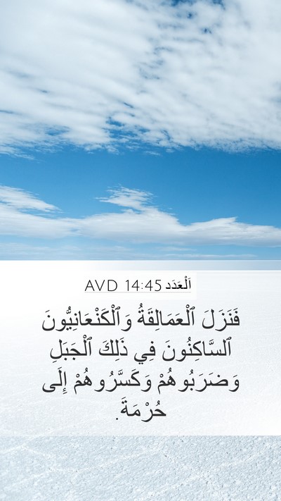 اَلْعَدَد 14:45 AVD Bible Verse Image