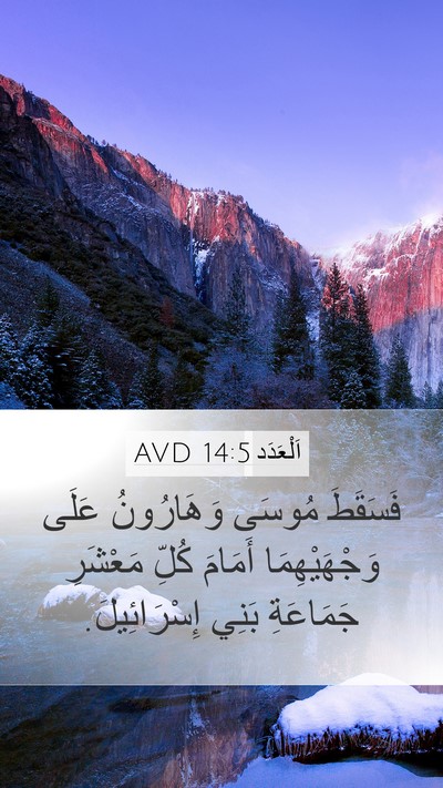 اَلْعَدَد 14:5 AVD Bible Verse Image