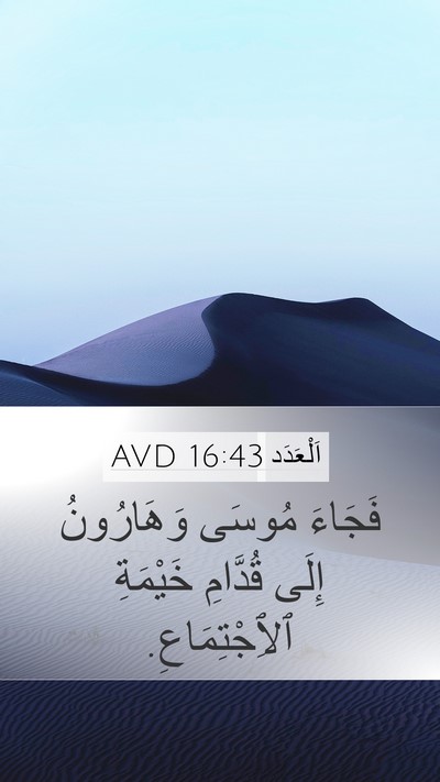 اَلْعَدَد 16:43 AVD Mobile Phone Wallpaper - فَجَاءَ مُوسَى وَهَارُونُ - Mobile Bible Verse Wallpaper