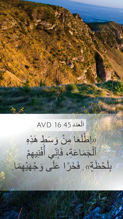 اَلْعَدَد 16:45 AVD Bible Verse Image