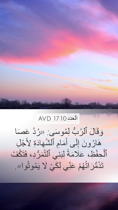 اَلْعَدَد 17:10 AVD Bible Verse Image