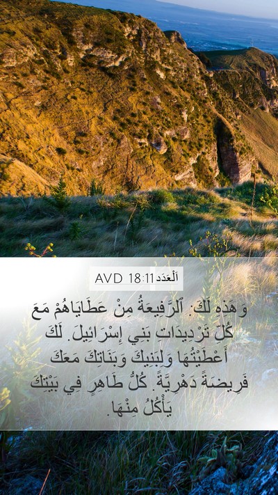 اَلْعَدَد 18:11 AVD Bible Verse Image