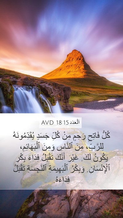 اَلْعَدَد 18:15 AVD Bible Verse Image