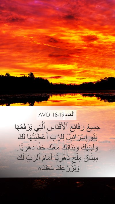 اَلْعَدَد 18:19 AVD Bible Verse Image
