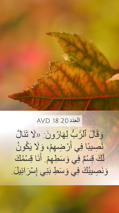 اَلْعَدَد 18:20 AVD Bible Verse Image