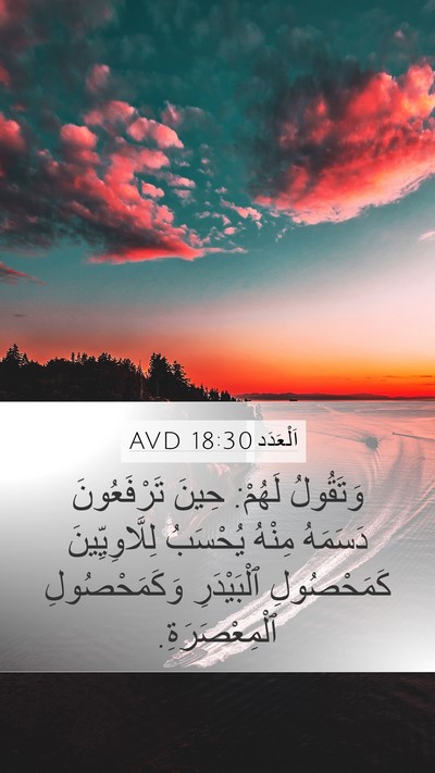 اَلْعَدَد 18:30 AVD Mobile Phone Wallpaper - وَتَقُولُ لَهُمْ: حِينَ - Mobile Bible Verse Wallpaper