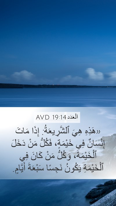 اَلْعَدَد 19:14 AVD Bible Verse Image