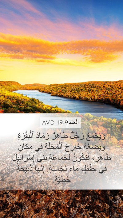 اَلْعَدَد 19:9 AVD Bible Verse Image