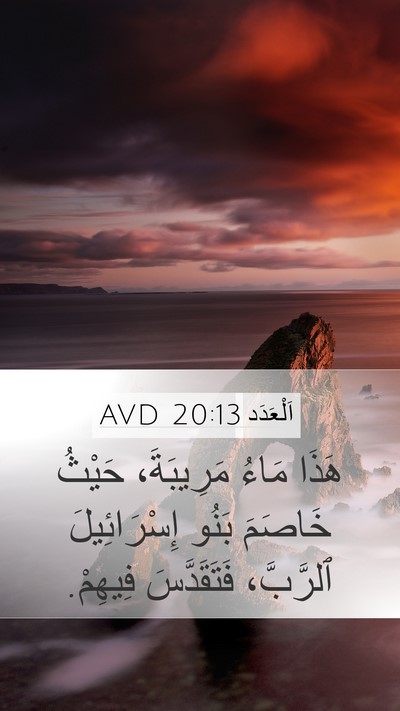 اَلْعَدَد 20:13 AVD Bible Verse Image