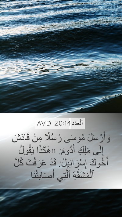 اَلْعَدَد 20:14 AVD Bible Verse Image