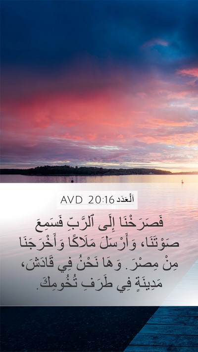 اَلْعَدَد 20:16 AVD Mobile Phone Wallpaper - فَصَرَخْنَا إِلَى - Mobile Bible Verse Wallpaper