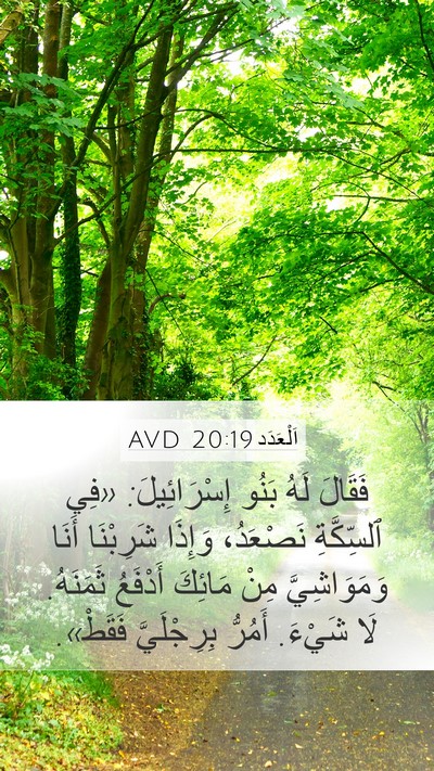 اَلْعَدَد 20:19 AVD Mobile Phone Wallpaper - فَقَالَ لَهُ بَنُو - Mobile Bible Verse Wallpaper