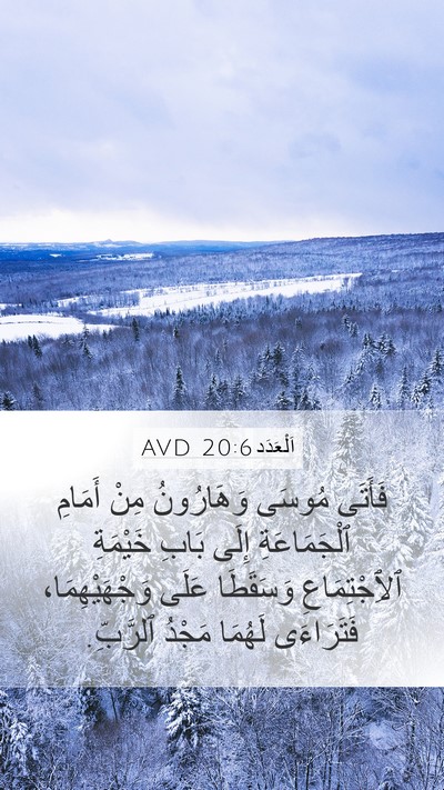 اَلْعَدَد 20:6 AVD Bible Verse Image