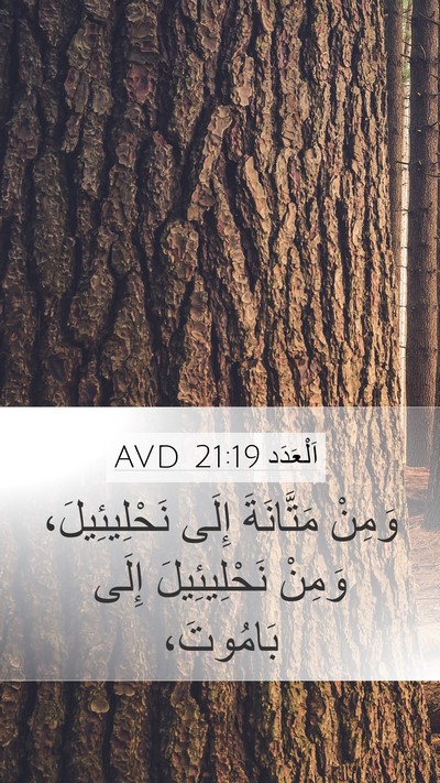 اَلْعَدَد 21:19 AVD Mobile Phone Wallpaper - وَمِنْ مَتَّانَةَ إِلَى - Mobile Bible Verse Wallpaper