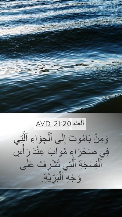 اَلْعَدَد 21:20 AVD Bible Verse Image