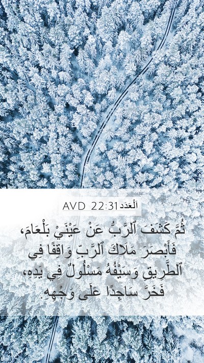 اَلْعَدَد 22:31 AVD Bible Verse Image