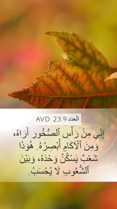 اَلْعَدَد 23:9 AVD Bible Verse Image