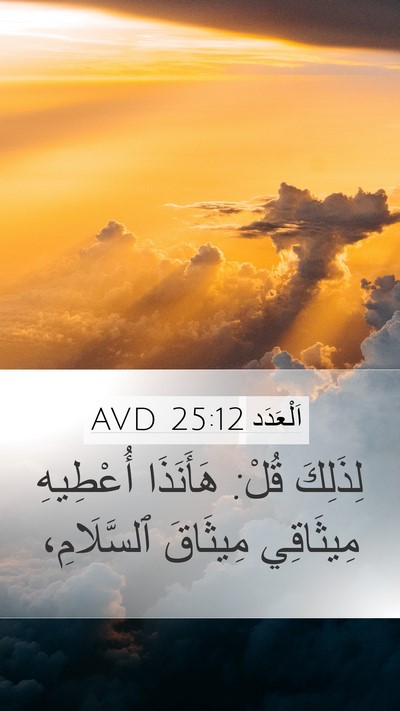 اَلْعَدَد 25:12 AVD Bible Verse Image