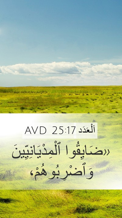 اَلْعَدَد 25:17 AVD Bible Verse Image