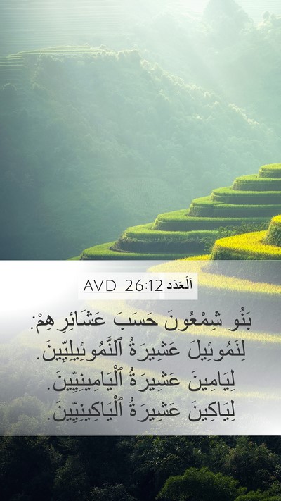 اَلْعَدَد 26:12 AVD Bible Verse Image