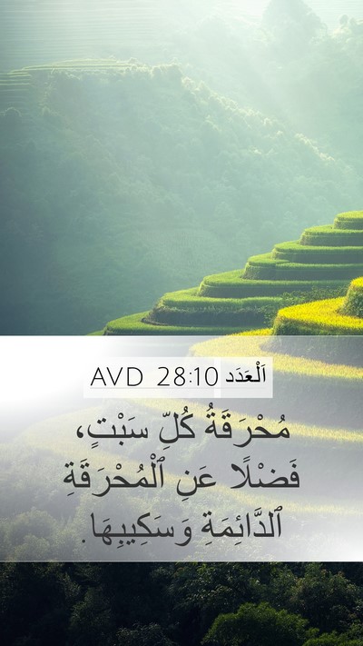 اَلْعَدَد 28:10 AVD Bible Verse Image