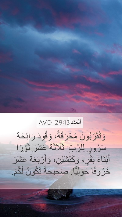 اَلْعَدَد 29:13 AVD Bible Verse Image