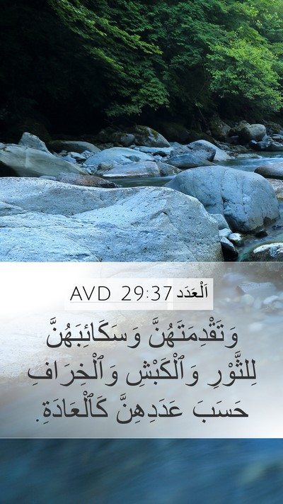 اَلْعَدَد 29:37 AVD Mobile Phone Wallpaper - وَتَقْدِمَتَهُنَّ - Mobile Bible Verse Wallpaper