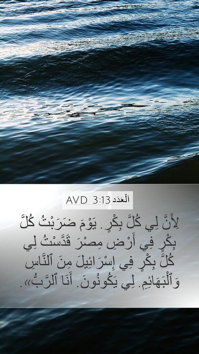 اَلْعَدَد 3:13 AVD Bible Verse Image