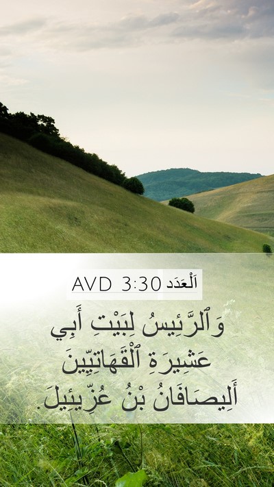 اَلْعَدَد 3:30 AVD Bible Verse Image